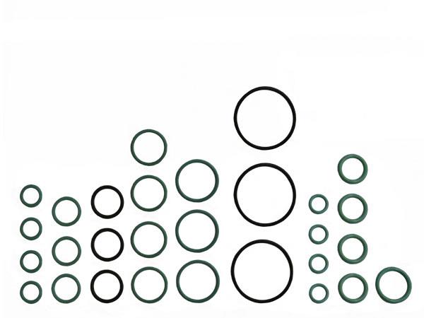 CNH Single Application ORing Kit