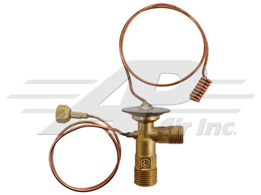 Expansion Valve ORing LATE serial number